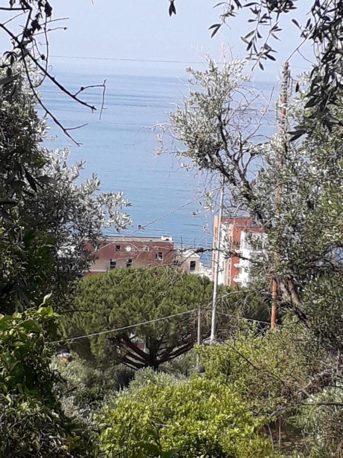 Tigullio Vacations Panoramica Apartments Lavagna Exterior foto